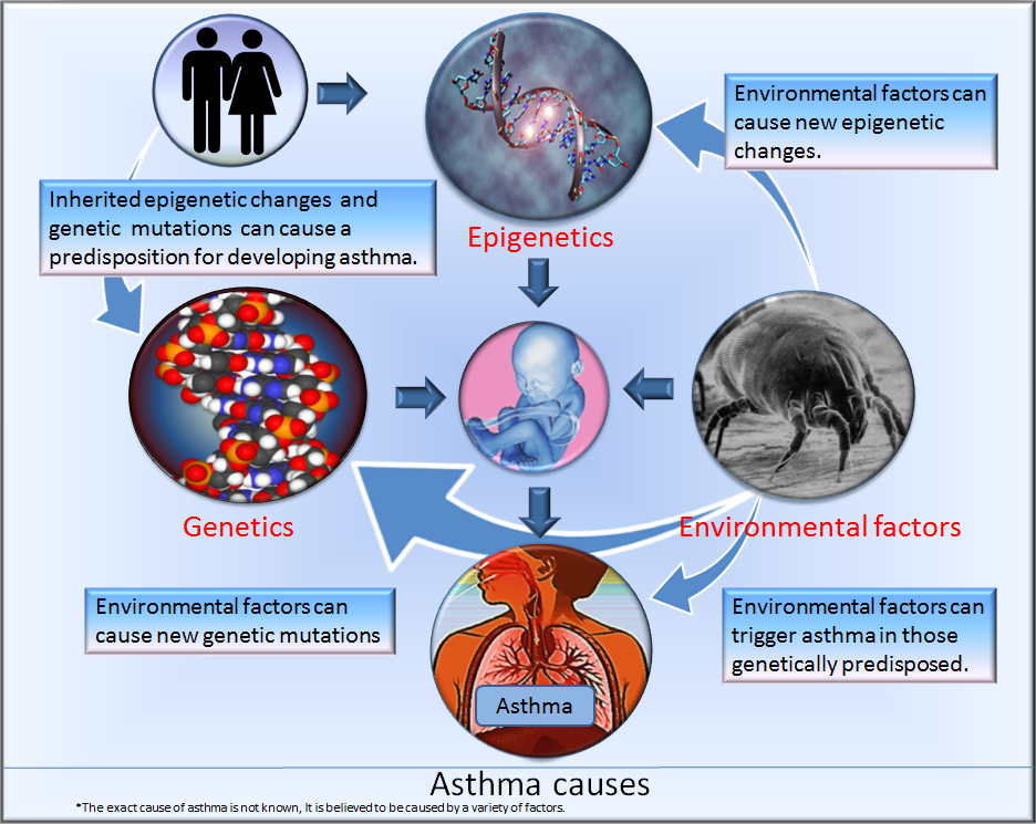 common causes of asthma