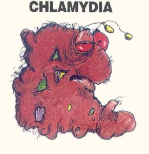 What is chlamydia
