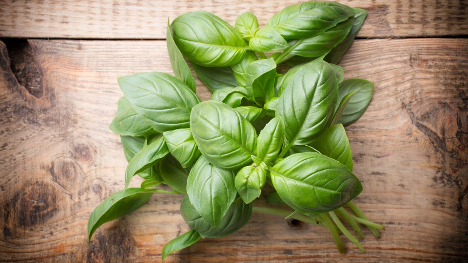 can eating basil induce labor